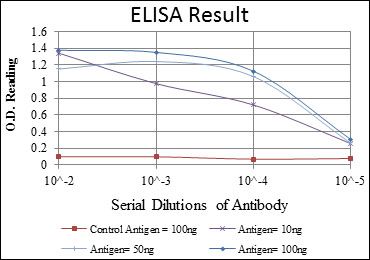 Anti-KID antibody [1E3] used in ELISA. GTX60508