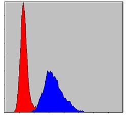Anti-KID antibody [1E3] used in Flow cytometry/FACS. GTX60508