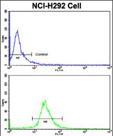 Anti-KIF3C antibody, C-term used in Flow cytometry/FACS. GTX81431