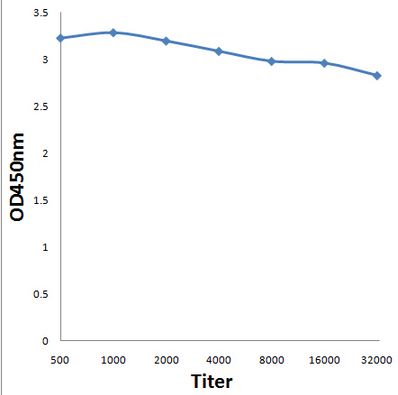 Anti-KNDC1 antibody used in ELISA. GTX50991