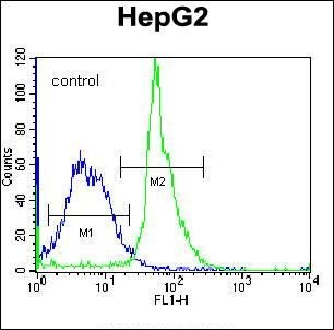 Anti-KRTAP1-3 antibody used in Flow cytometry/FACS. GTX53630