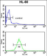 Anti-HSD17B7 antibody, N-term used in Flow cytometry/FACS. GTX81730