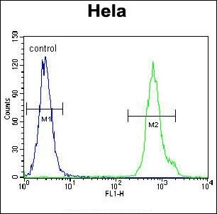 Anti-LRRC45 antibody used in Flow cytometry/FACS. GTX53639