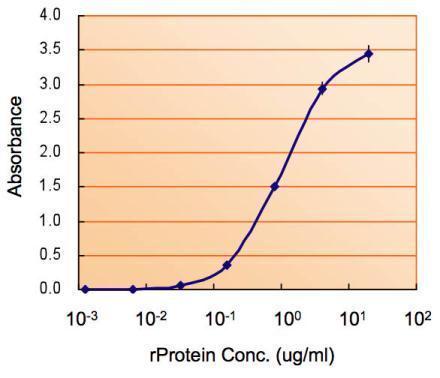 Anti-MAOB antibody, Internal used in ELISA. GTX89368