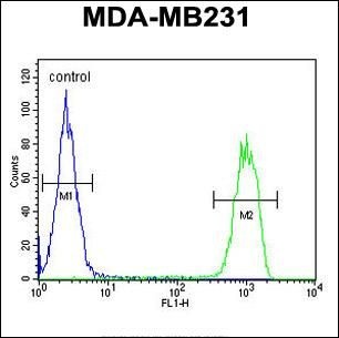 Anti-MCMBP antibody used in Flow cytometry/FACS. GTX53670