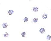 Anti-MPYS antibody used in ICC/IF. GTX85266
