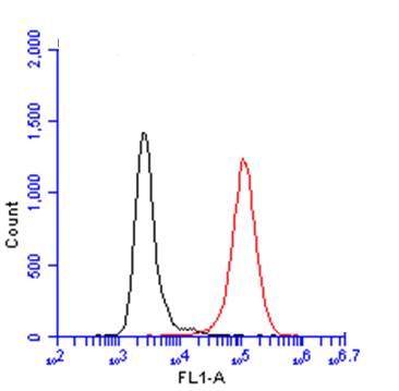 Anti-Iba1 antibody used in Flow cytometry/FACS. GTX100042