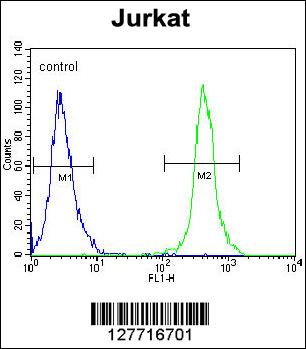 SLC43A2 Antibody (Center) (Cat. #AP10062c) flow cytometric analysis of Jurkat cells (right histogram) compared to a negative control cell (left histogram).FITC-conjugated goat-anti-rabbit secondary antibodies were used for the analysis.