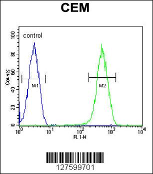 CRCT1 Antibody (N-term) (Cat. #AP10028a) flow cytometric analysis of CEM cells (right histogram) compared to a negative control cell (left histogram).FITC-conjugated goat-anti-rabbit secondary antibodies were used for the analysis.