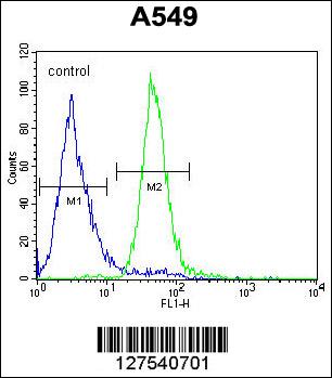 CO039 Antibody (C-term) (Cat. #AP10000b) flow cytometric analysis of A549 cells (right histogram) compared to a negative control cell (left histogram).FITC-conjugated goat-anti-rabbit secondary antibodies were used for the analysis.