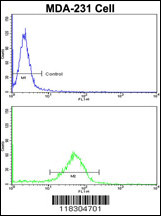 Flow cytometric analysis of MDA-231 cells using BARON Antibody (N-term)(bottom histogram) compared to a negative control cell (top histogram). FITC-conjugated goat-anti-rabbit secondary antibodies were used for the analysis.