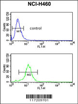 PPAP2C Antibody (C-term) (Cat. #AP2799b) flow cytometric analysis of NCI-H460 cells (bottom histogram) compared to a negative control cell (top histogram).FITC-conjugated goat-anti-rabbit secondary antibodies were used for the analysis.