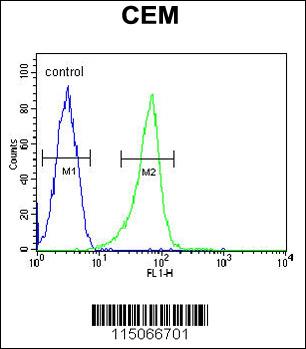 ITGB1BP3 Antibody (Center) (Cat. #AP2791c) flow cytometric analysis of CEM cells (right histogram) compared to a negative control cell (left histogram).FITC-conjugated goat-anti-rabbit secondary antibodies were used for the analysis.