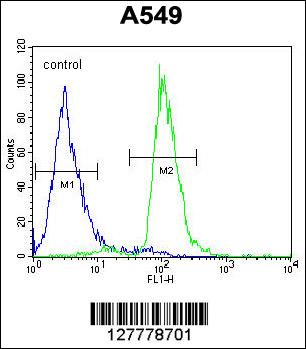 C12orf48 Antibody (C-term) (Cat. #AP10083b) flow cytometric analysis of A549 cells (right histogram) compared to a negative control cell (left histogram).FITC-conjugated goat-anti-rabbit secondary antibodies were used for the analysis.