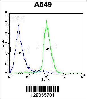 C1orf51 Antibody (N-term) (Cat. #AP10380a) flow cytometric analysis of A549 cells (right histogram) compared to a negative control cell (left histogram).FITC-conjugated goat-anti-rabbit secondary antibodies were used for the analysis.