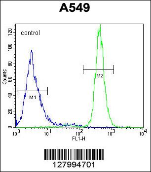 WFDC12 Antibody (C-term) (Cat. #AP10369b) flow cytometric analysis of A549 cells (right histogram) compared to a negative control cell (left histogram).FITC-conjugated goat-anti-rabbit secondary antibodies were used for the analysis.