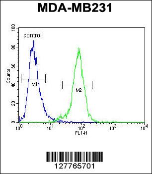 PDE12 Antibody (C-term) (Cat. #AP10288b) flow cytometric analysis of MDA-MB231 cells (right histogram) compared to a negative control cell (left histogram).FITC-conjugated goat-anti-rabbit secondary antibodies were used for the analysis.