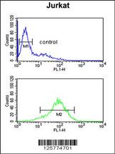 ANR49 Antibody (Center) (Cat. #AP4966c) flow cytometric analysis of Jurkat cells (bottom histogram) compared to a negative control cell (top histogram).FITC-conjugated goat-anti-rabbit secondary antibodies were used for the analysis.