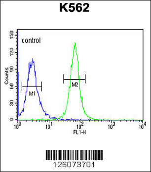 GTD2A Antibody (C-term) (Cat. #AP4949b) flow cytometric analysis of K562 cells (right histogram) compared to a negative control cell (left histogram).FITC-conjugated goat-anti-rabbit secondary antibodies were used for the analysis.