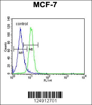 PSG7 Antibody (C-term) (Cat. #AP4939b) flow cytometric analysis of MCF-7 cells (right histogram) compared to a negative control cell (left histogram).FITC-conjugated goat-anti-rabbit secondary antibodies were used for the analysis.