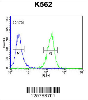 SE6L2 Antibody (C-term) (Cat. #AP4937b) flow cytometric analysis of K562 cells (right histogram) compared to a negative control cell (left histogram).FITC-conjugated goat-anti-rabbit secondary antibodies were used for the analysis.