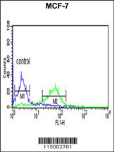CENPN Antibody (C-term) (Cat. #AP4913b) flow cytometric analysis of MCF-7 cells (right histogram) compared to a negative control cell (left histogram).FITC-conjugated goat-anti-rabbit secondary antibodies were used for the analysis.