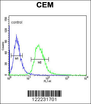 TSPAN7 Antibody (Center) (Cat. #AP4874c) flow cytometric analysis of CEM cells (right histogram) compared to a negative control cell (left histogram).FITC-conjugated goat-anti-rabbit secondary antibodies were used for the analysis.