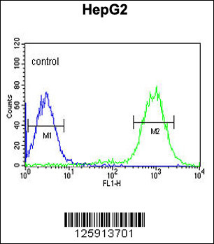 C19orf21 Antibody (N-term) (Cat. #AP4851a) flow cytometric analysis of HepG2 cells (right histogram) compared to a negative control cell (left histogram).FITC-conjugated goat-anti-rabbit secondary antibodies were used for the analysis.