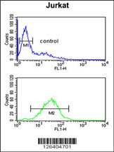 MFRN2 Antibody (N-term) (Cat. #AP5244a) flow cytometric analysis of Jurkat cells (bottom histogram) compared to a negative control cell (top histogram).FITC-conjugated goat-anti-rabbit secondary antibodies were used for the analysis.