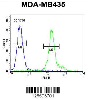 FBXL14 Antibody (C-term) (Cat. #AP5220b) flow cytometric analysis of MDA-MB435 cells (right histogram) compared to a negative control cell (left histogram).FITC-conjugated goat-anti-rabbit secondary antibodies were used for the analysis.