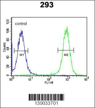 EPC2 Antibody (N-term) (Cat. #AP5217a) flow cytometric analysis of 293 cells (right histogram) compared to a negative control cell (left histogram).FITC-conjugated goat-anti-rabbit secondary antibodies were used for the analysis.