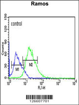 C12orf53 Antibody (N-term) (Cat. #AP5185a) flow cytometric analysis of Ramos cells (right histogram) compared to a negative control cell (left histogram).FITC-conjugated goat-anti-rabbit secondary antibodies were used for the analysis.