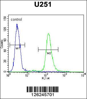 ACAP3 Antibody (N-term) (Cat. #AP5177a) flow cytometric analysis of U251 cells (right histogram) compared to a negative control cell (left histogram).FITC-conjugated goat-anti-rabbit secondary antibodies were used for the analysis.