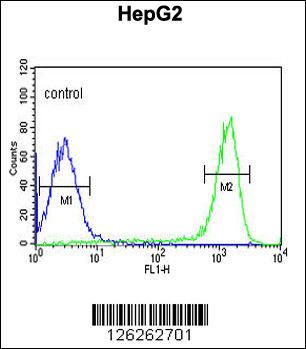 FAAH2 Antibody (C-term) (Cat. #AP5150b) flow cytometric analysis of HepG2 cells (right histogram) compared to a negative control cell (left histogram).FITC-conjugated goat-anti-rabbit secondary antibodies were used for the analysis.