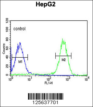 TESC Antibody (C-term) (Cat. #AP5136b) flow cytometric analysis of HepG2 cells (right histogram) compared to a negative control cell (left histogram).FITC-conjugated goat-anti-rabbit secondary antibodies were used for the analysis.