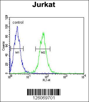 HVCN1 Antibody (N-term) (Cat. #AP5042a) flow cytometric analysis of Jurkat cells (right histogram) compared to a negative control cell (left histogram).FITC-conjugated goat-anti-rabbit secondary antibodies were used for the analysis.