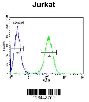 UTP6 Antibody (N-term) (Cat. #AP5296a) flow cytometric analysis of Jurkat cells (right histogram) compared to a negative control cell (left histogram).FITC-conjugated goat-anti-rabbit secondary antibodies were used for the analysis.
