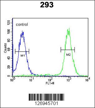 BRWD2 Antibody (Center) (Cat. #AP5715c) flow cytometric analysis of 293 cells (right histogram) compared to a negative control cell (left histogram).FITC-conjugated goat-anti-rabbit secondary antibodies were used for the analysis.