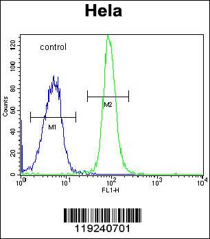 DONSON Antibody (Center) (Cat. #AP5661c) flow cytometric analysis of Hela cells (right histogram) compared to a negative control cell (left histogram).FITC-conjugated goat-anti-rabbit secondary antibodies were used for the analysis.