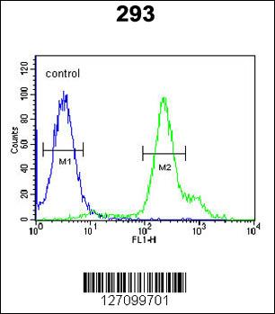 RBM24 Antibody (N-term) (Cat. #AP5609a) flow cytometric analysis of 293 cells (right histogram) compared to a negative control cell (left histogram).FITC-conjugated goat-anti-rabbit secondary antibodies were used for the analysis.