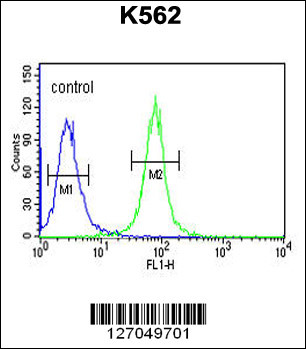 AAA1 Antibody (C-term) (Cat. #AP5508b) flow cytometric analysis of K562 cells (right histogram) compared to a negative control cell (left histogram).FITC-conjugated goat-anti-rabbit secondary antibodies were used for the analysis.