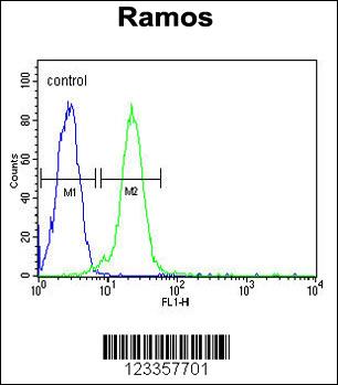 C13orf18 Antibody (Center) (Cat. #AP5893c) flow cytometric analysis of Ramos cells (right histogram) compared to a negative control cell (left histogram).FITC-conjugated goat-anti-rabbit secondary antibodies were used for the analysis.
