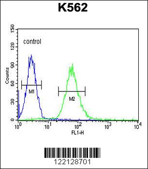 ADCY10 Antibody (Center) (Cat. #AP5862c) flow cytometric analysis of K562 cells (right histogram) compared to a negative control cell (left histogram).FITC-conjugated goat-anti-rabbit secondary antibodies were used for the analysis.