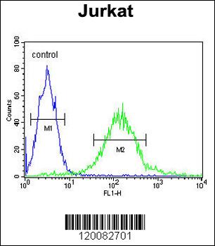 GPRASP1 Antibody (C-term) (Cat. #AP5831b) flow cytometric analysis of Jurkat cells (right histogram) compared to a negative control cell (left histogram).FITC-conjugated goat-anti-rabbit secondary antibodies were used for the analysis.