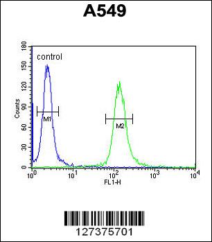 LOH12CR1 Antibody (C-term) (Cat. #AP5806b) flow cytometric analysis of A549 cells (right histogram) compared to a negative control cell (left histogram).FITC-conjugated goat-anti-rabbit secondary antibodies were used for the analysis.
