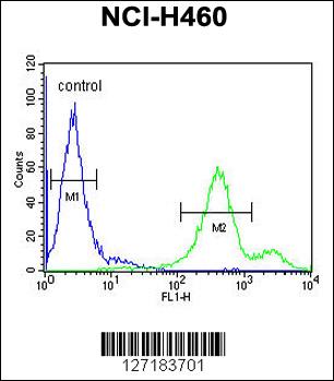 EBPL Antibody (C-term) (Cat. #AP5735b) flow cytometric analysis of NCI-H460 cells (right histogram) compared to a negative control cell (left histogram).FITC-conjugated goat-anti-rabbit secondary antibodies were used for the analysis.