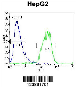 CHPT1 Antibody (N-term) (Cat. #AP10186a) flow cytometric analysis of HepG2 cells (right histogram) compared to a negative control cell (left histogram).FITC-conjugated goat-anti-rabbit secondary antibodies were used for the analysis.