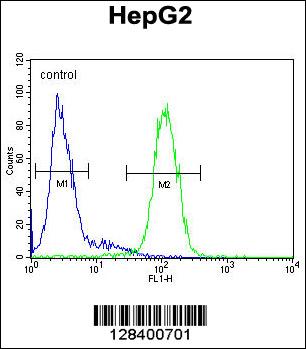 S100Z Antibody (N-term) (Cat. #AP10626a) flow cytometric analysis of HepG2 cells (right histogram) compared to a negative control cell (left histogram).FITC-conjugated goat-anti-rabbit secondary antibodies were used for the analysis.