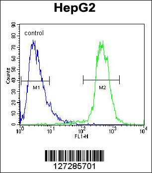 ATP13A3 Antibody (N-term) (Cat. #AP5938a) flow cytometric analysis of HepG2 cells (right histogram) compared to a negative control cell (left histogram).FITC-conjugated goat-anti-rabbit secondary antibodies were used for the analysis.