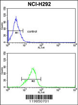SFRS5 Antibody (Center Y85) (Cat. #AP6620c) flow cytometric analysis of NCI-H292 cells (bottom histogram) compared to a negative control cell (top histogram).FITC-conjugated goat-anti-rabbit secondary antibodies were used for the analysis.